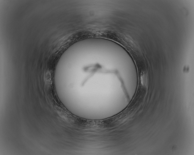 X0000090741347200708031537