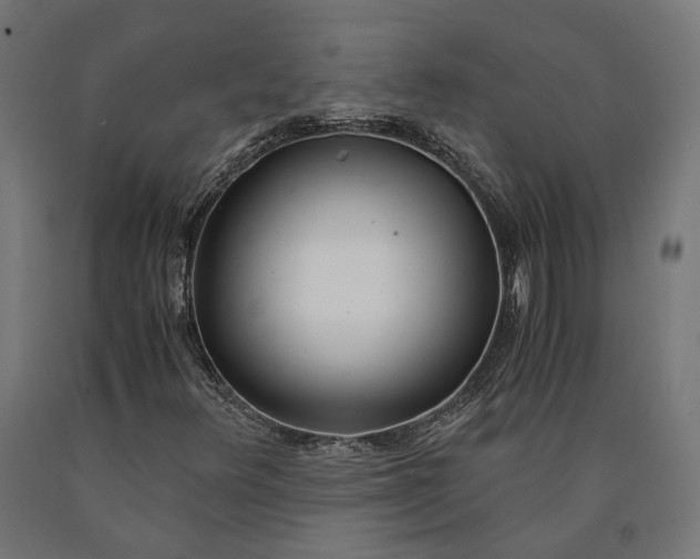 X0000090741348200708031537