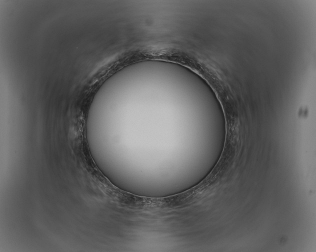 X0000090741349200708031537