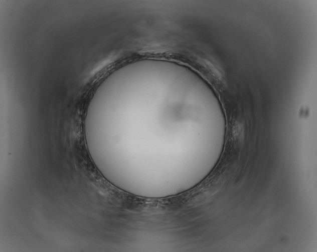 X0000090741350200708031537