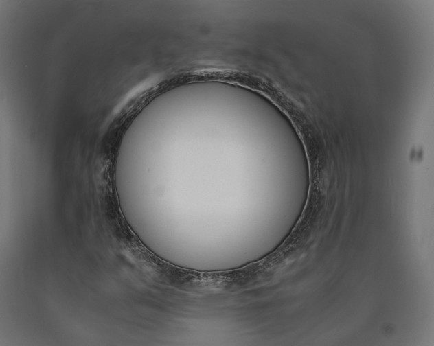 X0000090741351200708031537