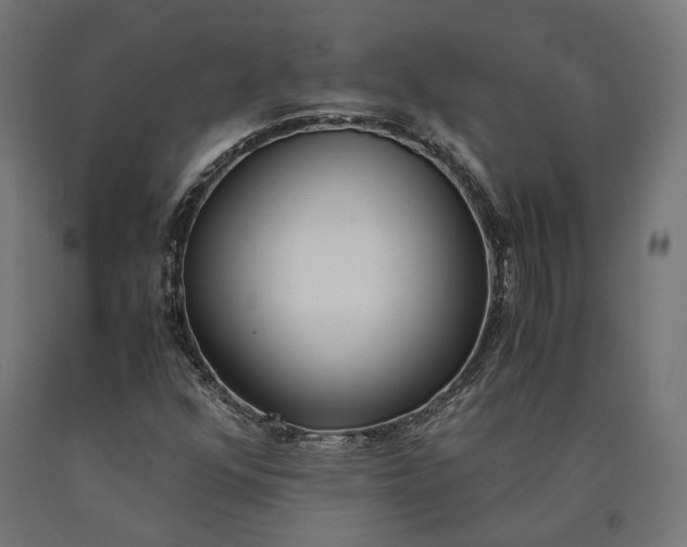 X0000090741352200708031537