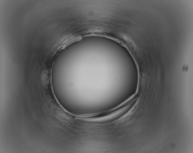 X0000090741353200708031537