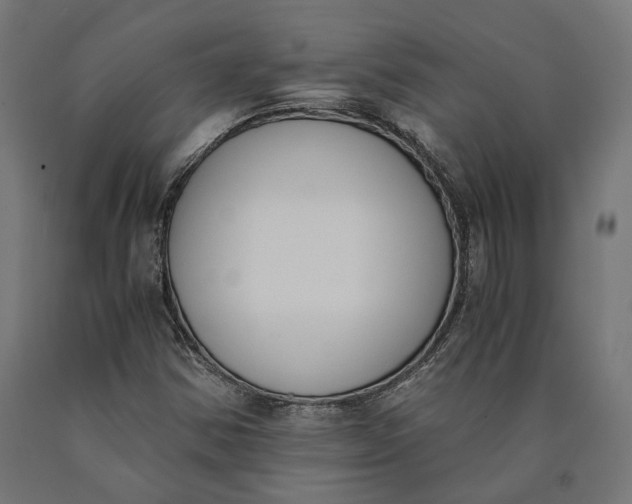 X0000090741354200708031537