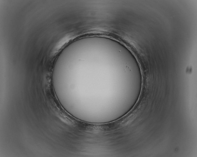 X0000090741355200708031537