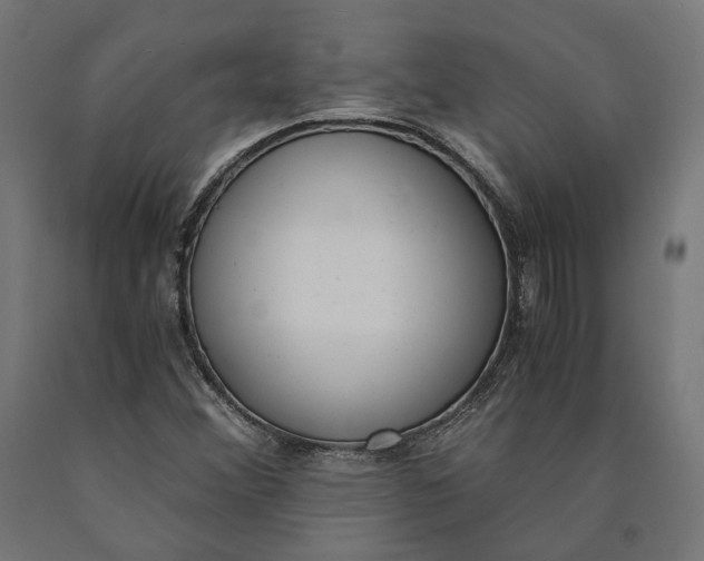 X0000090741356200708031537