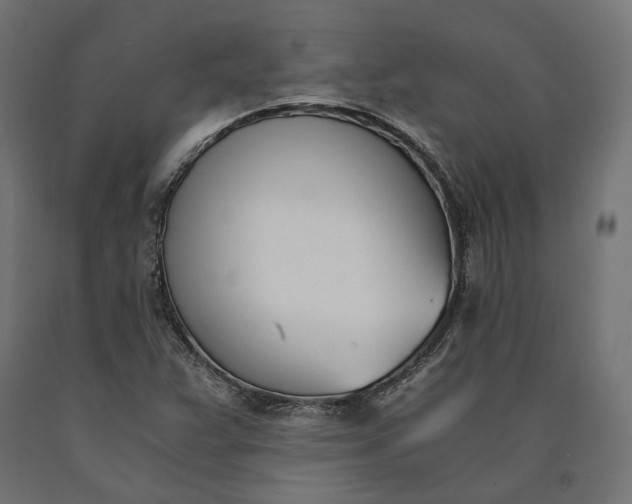 X0000090741359200708031537