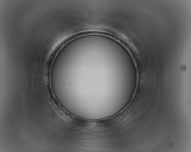 X0000090741360200708031537