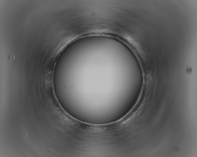 X0000090741361200708031537