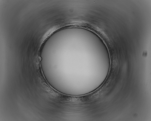 X0000090741362200708031537