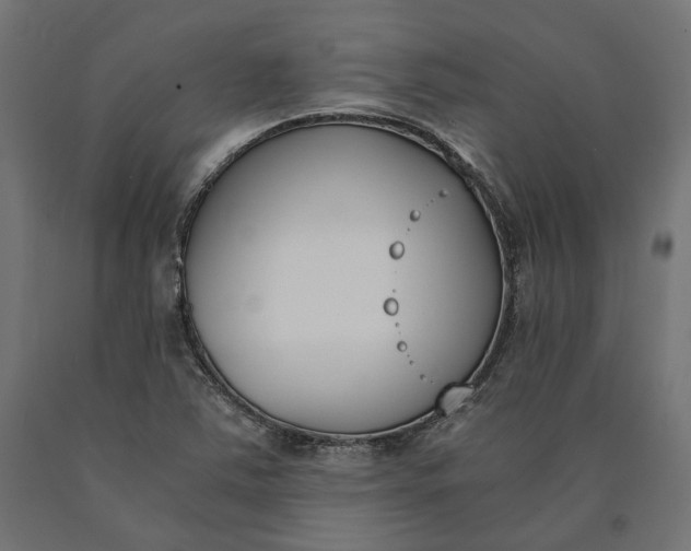 X0000090741363200708031537