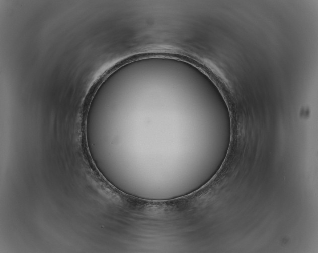 X0000090741364200708031537