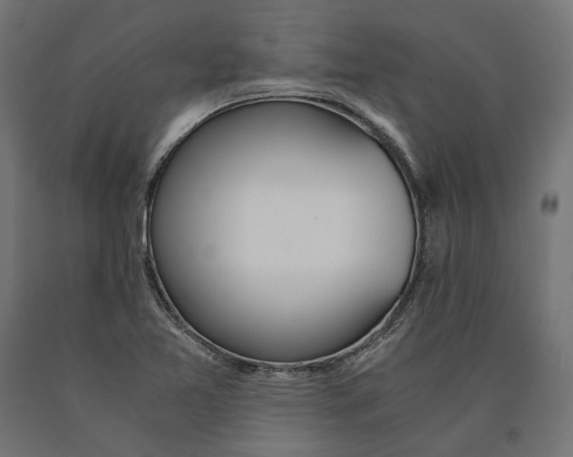 X0000090741365200708031537