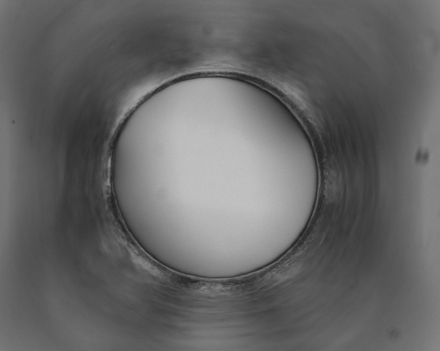 X0000090741366200708031537