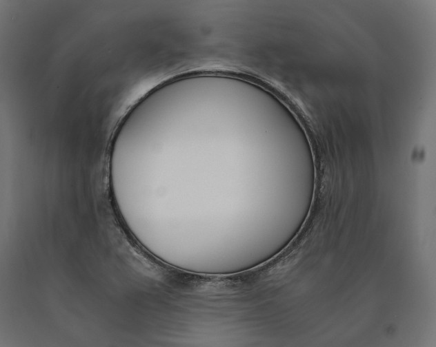 X0000090741367200708031537