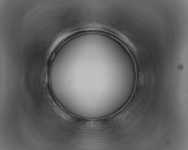 X0000090741368200708031537