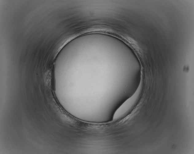 X0000090741369200708031536