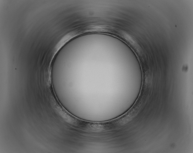 X0000090741370200708031536