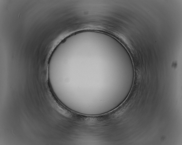 X0000090741371200708031536