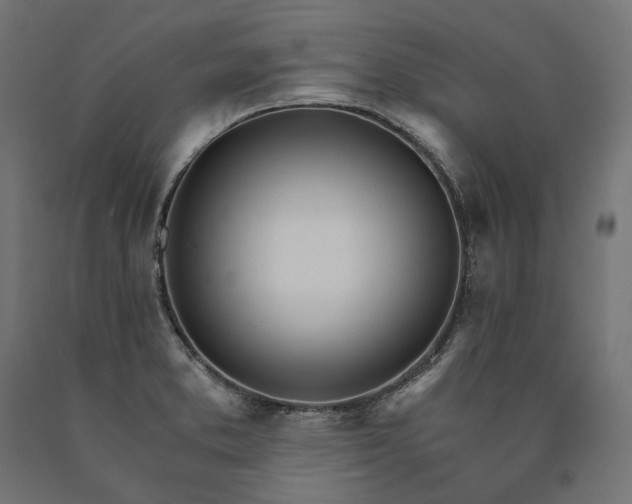 X0000090741373200708031536