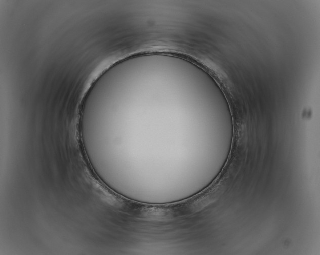 X0000090741374200708031536