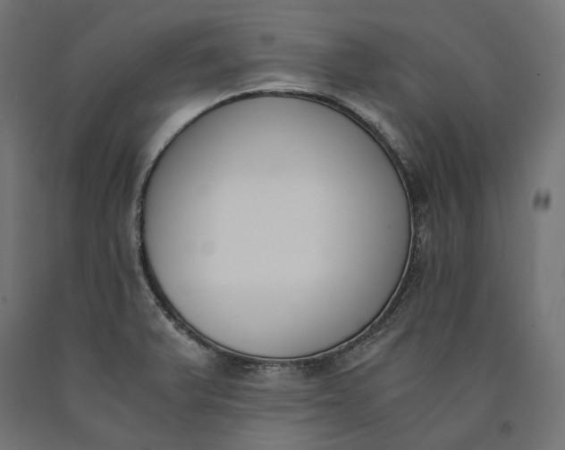 X0000090741375200708031536