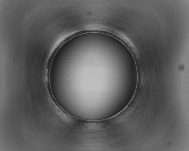 X0000090741376200708031536