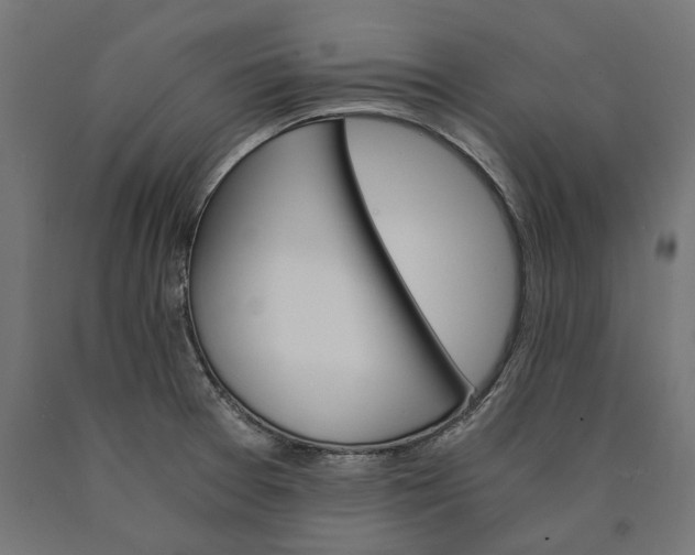 X0000090741377200708031536