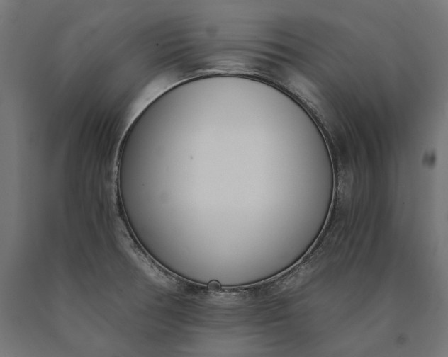 X0000090741378200708031536