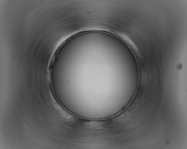 X0000090741380200708031536