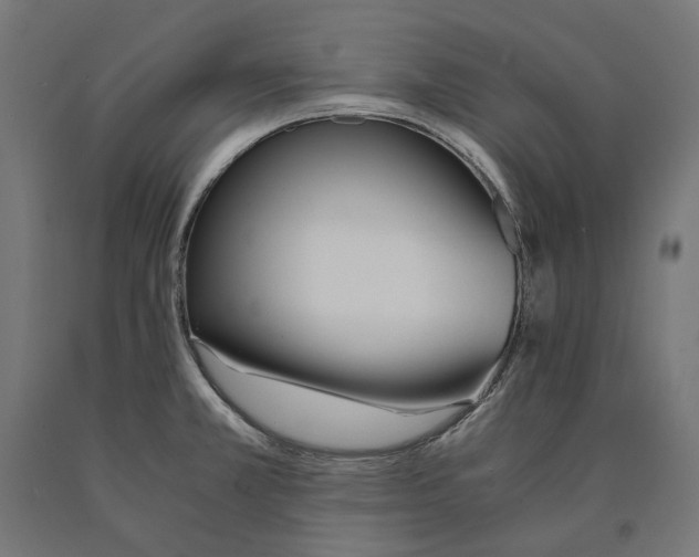 X0000090741381200708031536