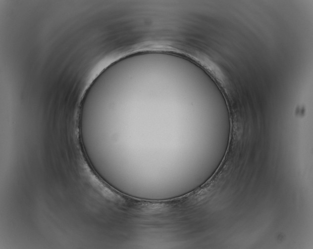 X0000090741382200708031536