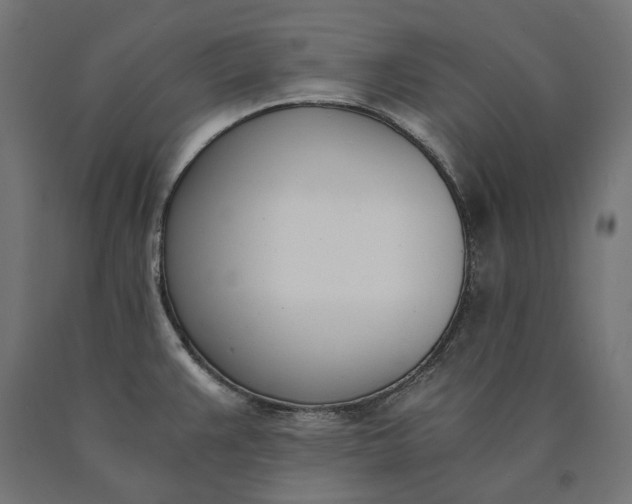 X0000090741383200708031536