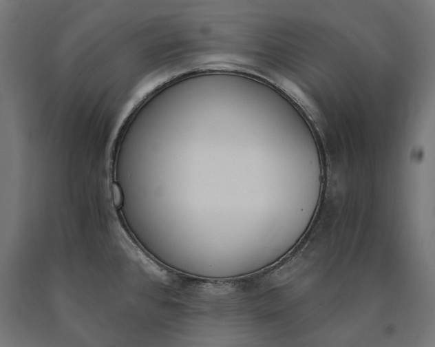 X0000090741384200708031536