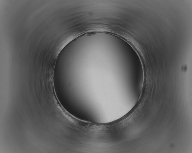 X0000090741385200708031536