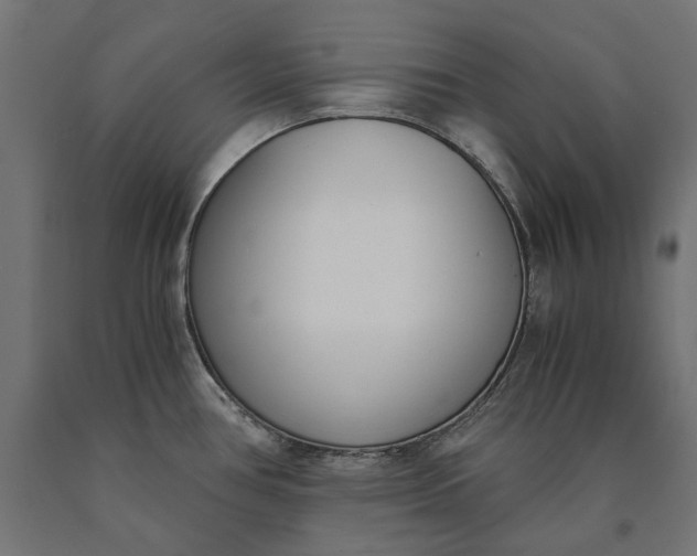 X0000090741386200708031536