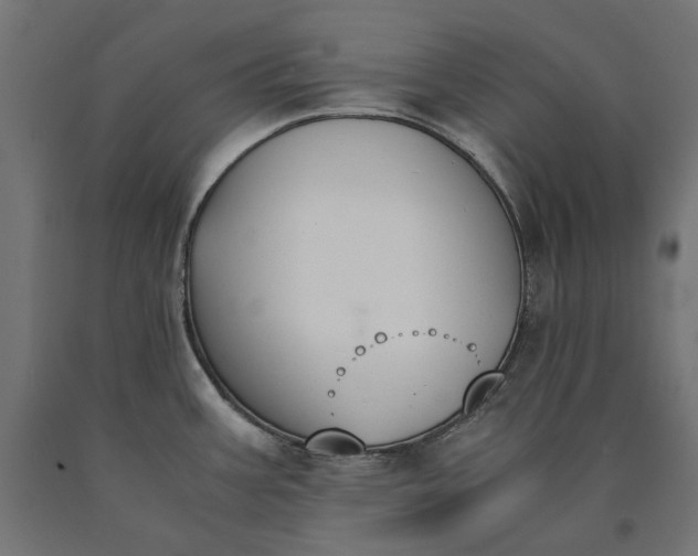 X0000090741387200708031536