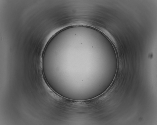 X0000090741388200708031536