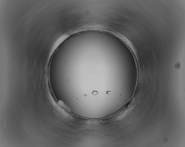 X0000090741389200708031536