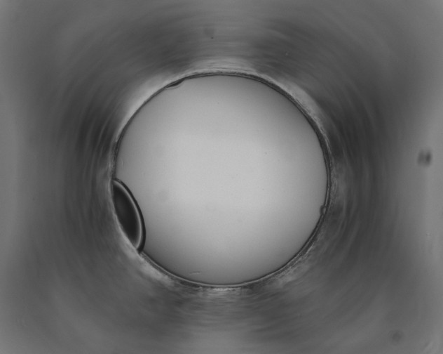 X0000090741390200708031536