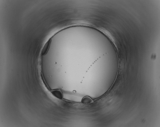 X0000090741391200708031536