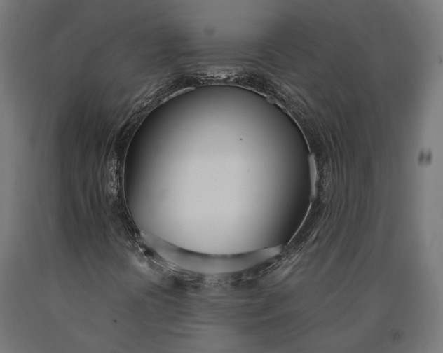 X0000090741394200708031536