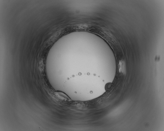 X0000090741395200708031536