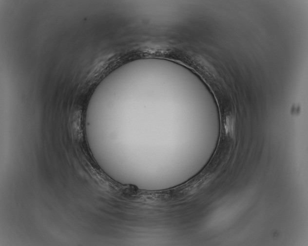 X0000090741396200708031536