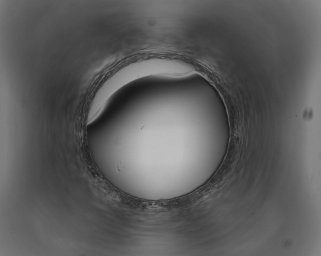 X0000090741398200708031536