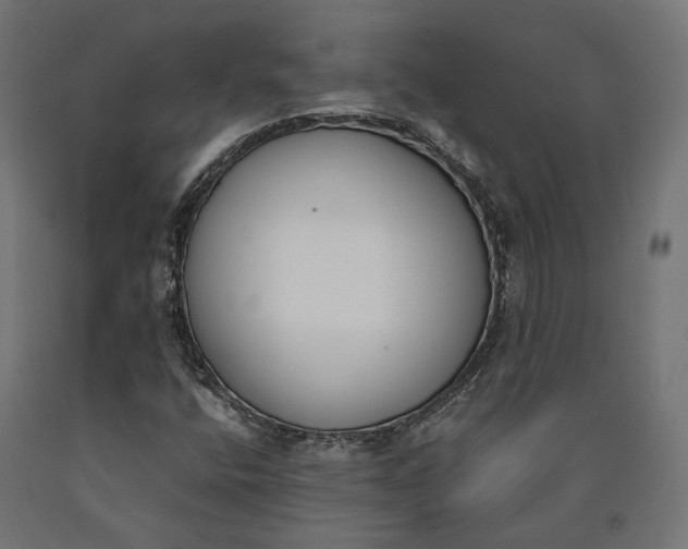 X0000090741400200708031536