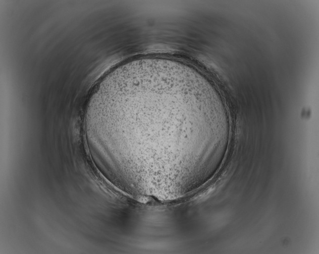 X0000090741401200708031536