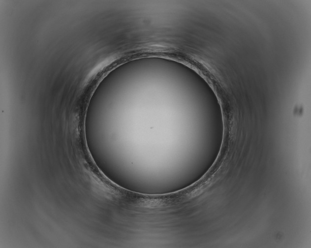 X0000090741402200708031536