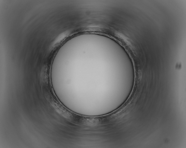 X0000090741403200708031536