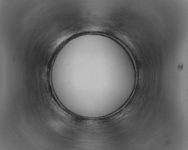 X0000090741404200708031536